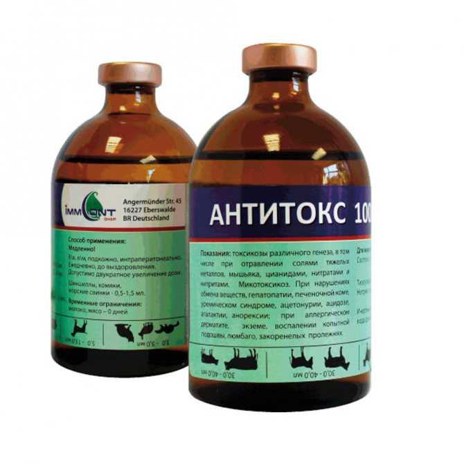 Амоксиклав® (amoksiklav®)
