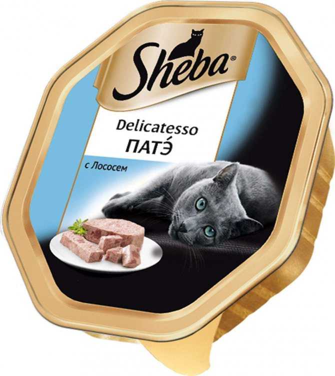Корм для кошек sheba: отзывы, разбор состава, цена - петобзор