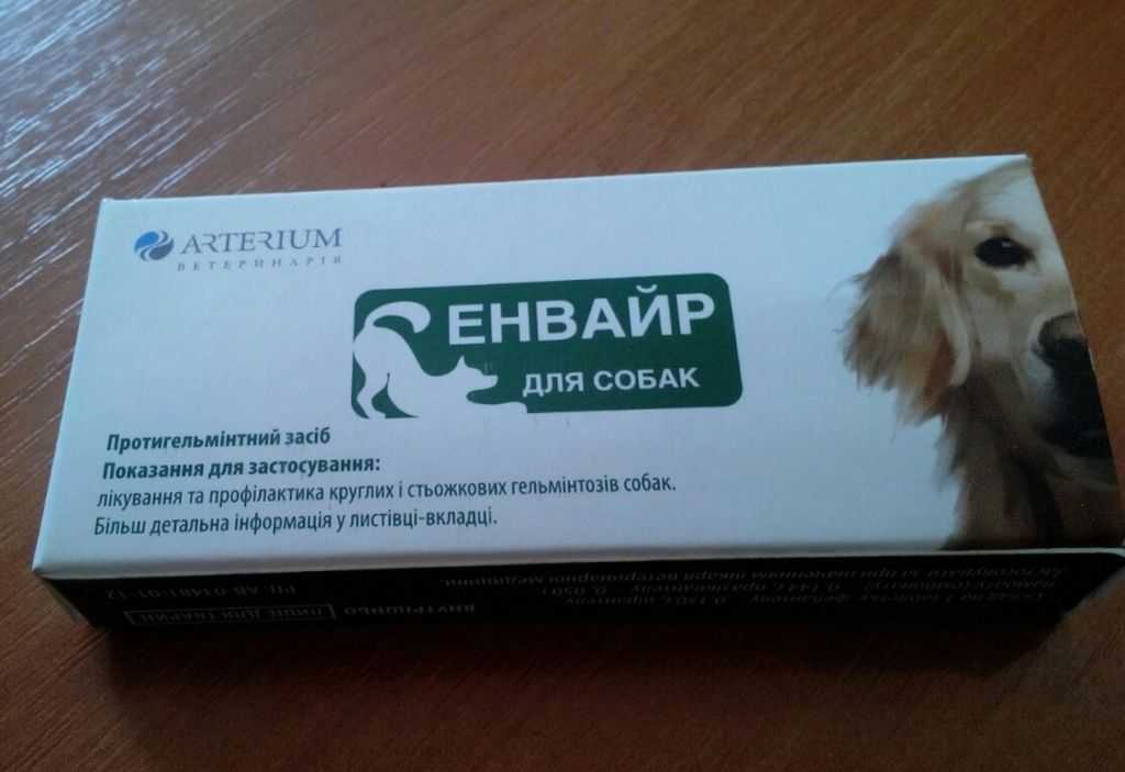Как дать собаке таблетку или лекарство в виде драже и капсул | petguru