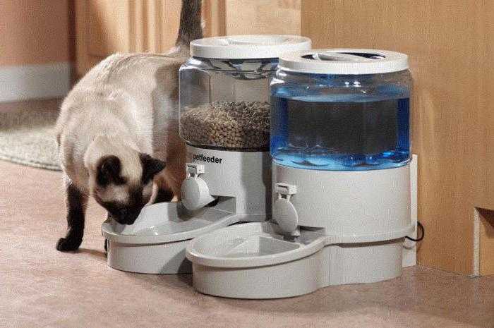 Автоматическая кормушка для кошек: с таймером, дозатором, для влажного и сухого корма, xiaomi, trixie, feed ex и другие