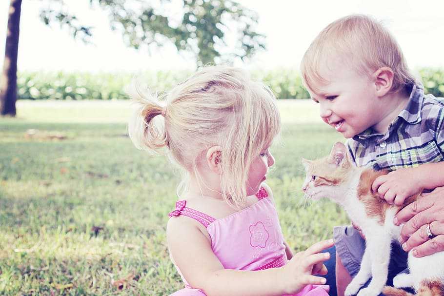 Кошка и ребенок: взаимоотношения между ними