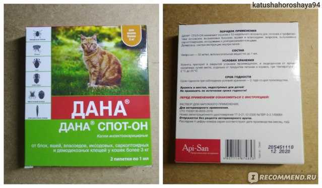 Обзор препарата лиарсин для кошек: инструкция по применению, отзывы