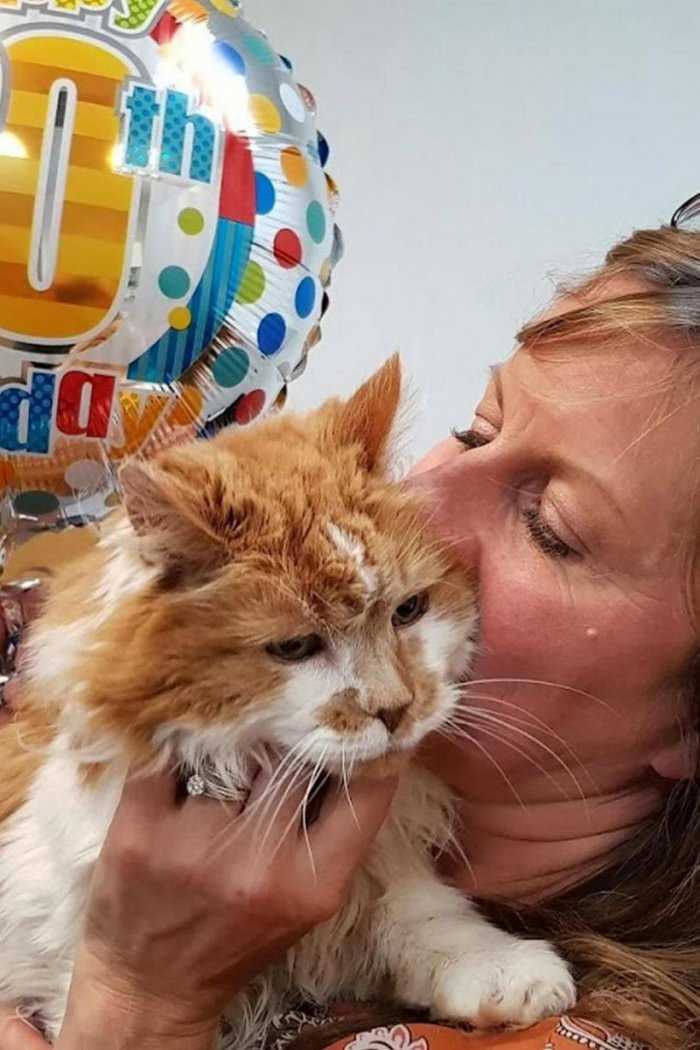 Самый старый кот в мире | 31 год, фото