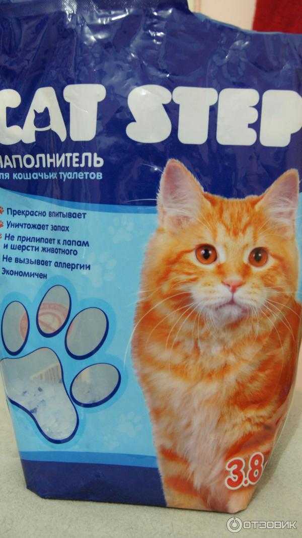 Силикагелевый наполнитель для кошачьего туалета (33 фото): как пользоваться силикагелем для кошек? рейтинг силикагелевых наполнителей, отзывы