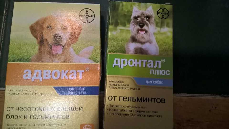 Дронтал плюс для собак: инструкция по применению, дозировка, отзывы - kupipet.ru