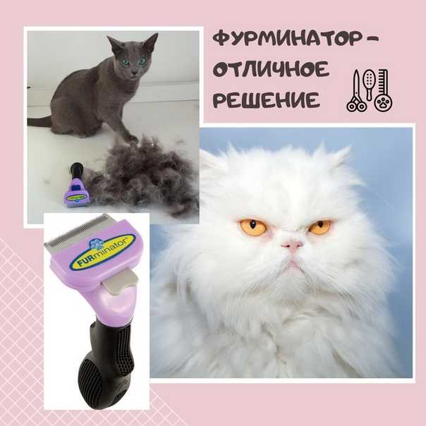 Фурминатор для кошек: незаменимый гаджет для груминга и домашнего ухода
