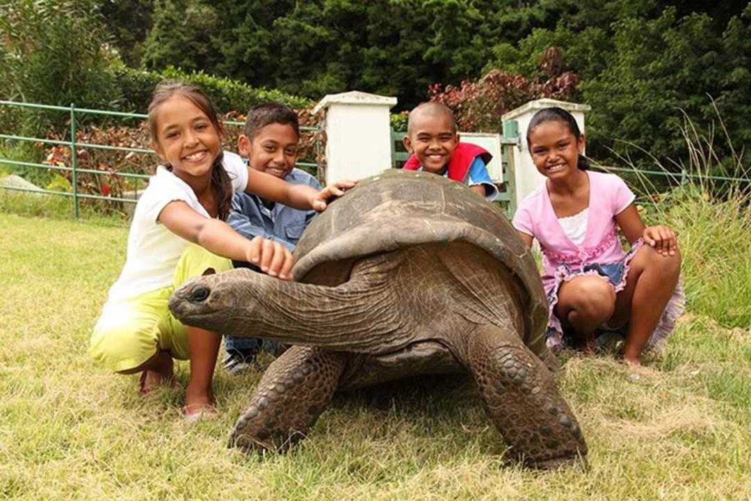 История жизни одной из самых известных слоновых черепаха Чарльза Дарвина - Гариетты. Когда родилась, где проживала и сколько лет прожила черепаха Гарриетта.