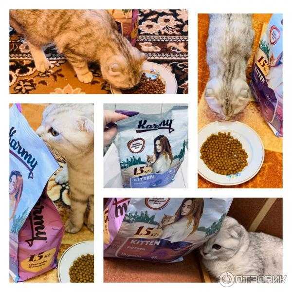"наша марка", корм для кошек: отзывы ветеринаров (фото)