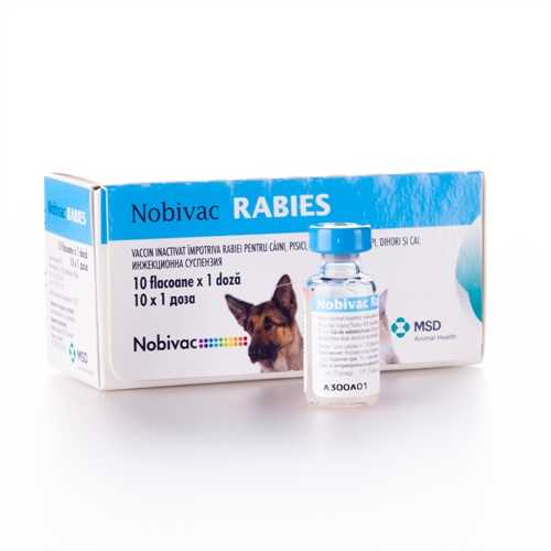 Нобивак с бешенством для собак купить. Nobivac Rabies (Нобивак рабиес). Нобивак Rabies (10 доз/уп). Нобивак Rabies лиофилизат 10мл. Нобивак Rabies вакцина д/жив 1мл (1/10).