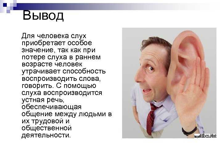 Слух человека. Слух человека и животных. Сообщение о слухе человека. Музыкальный слух у человека