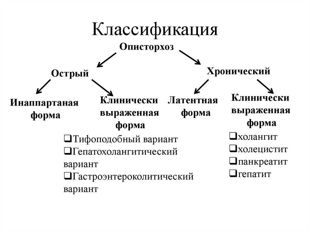 Ветеринарная клиника во владимире