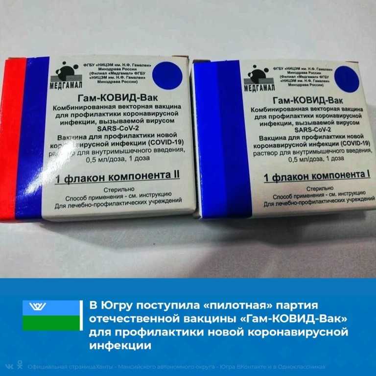 Вакцинация котят в москве по цене от 650 рублей | ветклиника зоостатус