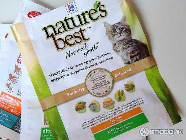 Самые качественные сухие корма для кошек 2021 года — рейтинг от ветеринаров