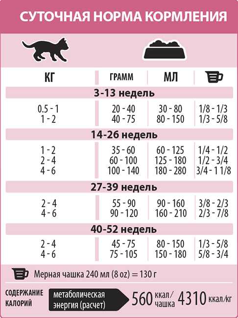 Нормы корма для кошек: сколько корма нужно кошке