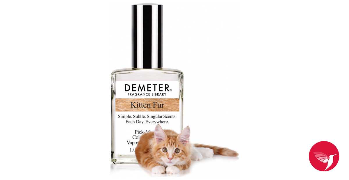 Какие запахи не любят кошки? | блог ветклиники "беланта"