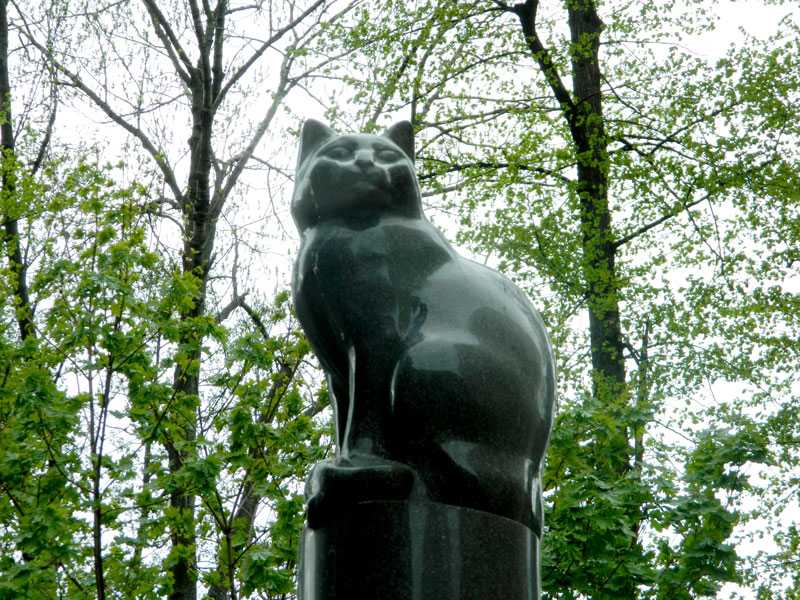 Памятник кошке рассказ
