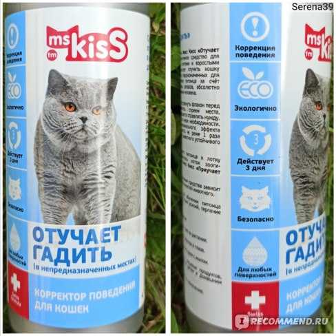 Барьер для пушистого питомца, или какие запахи не любят кошки   :: syl.ru