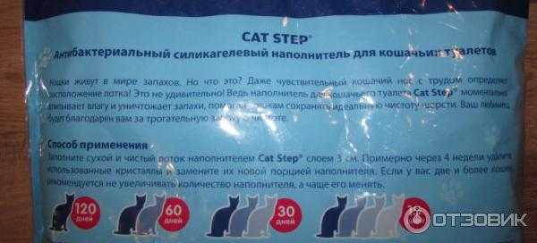 Силикагель для кошачьего туалета: обзор марок и особенности применения