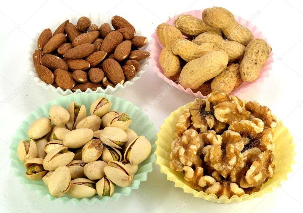 Какие орехи можно хомякам