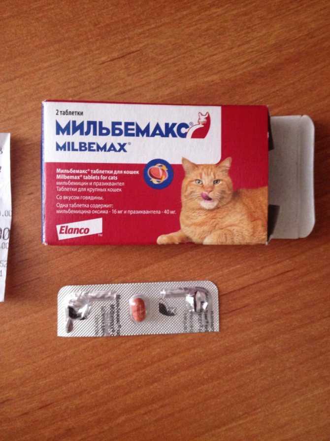 Мильбемакс для кошек  инструкция по применению.  дозировка