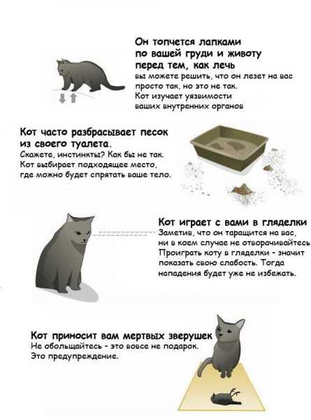 Укусы, как метод воспитания потомства