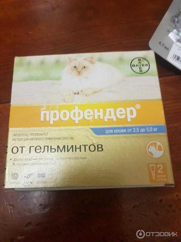 Профендер для кошек (капли на холку): дозировка и противопоказания препарата от глистов, как наносить и применять