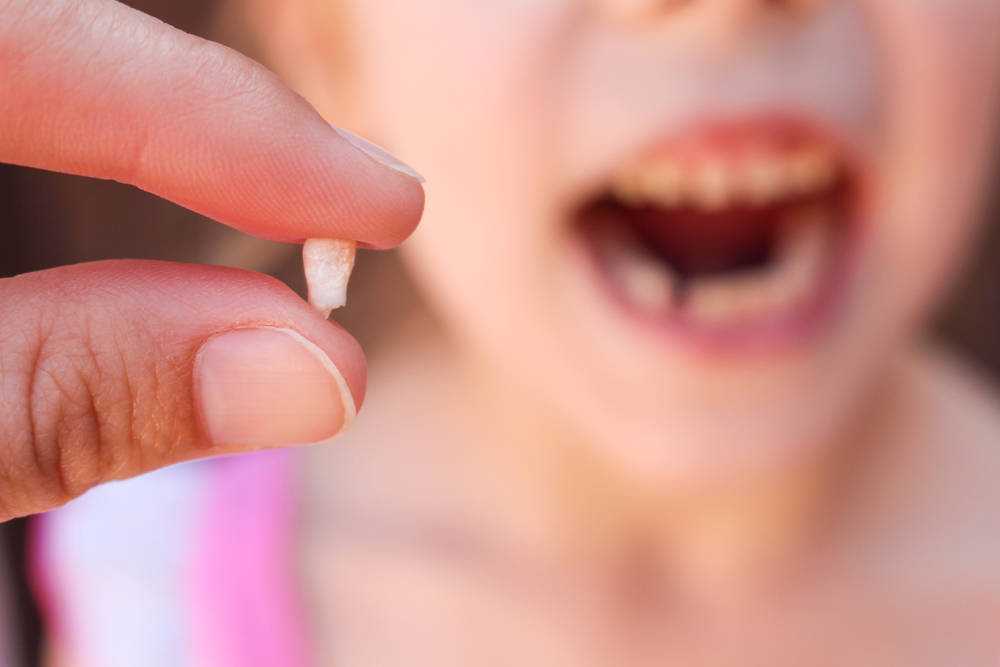 Как молочные зубы меняются на постоянные?