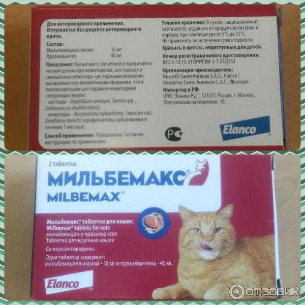 Мильбемакс для кошек: инструкция по применению, цена, отзывы