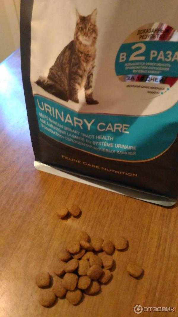 Корм уринари (urinary) для кошек