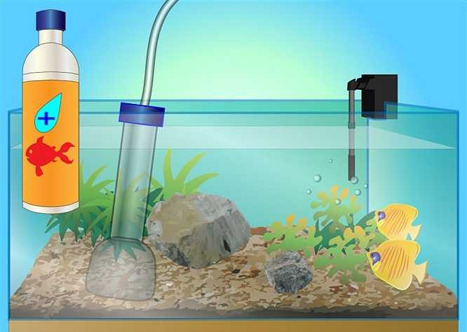 ᐉ фильтр в аквариум с красноухой черепахой: выбор, установка и использование - zoopalitra-spb.ru