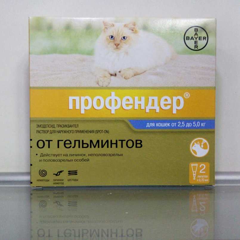 Профендер для кошек: инструкция по применению | отзывы, цена